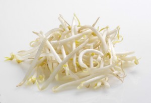 Beansprout salad